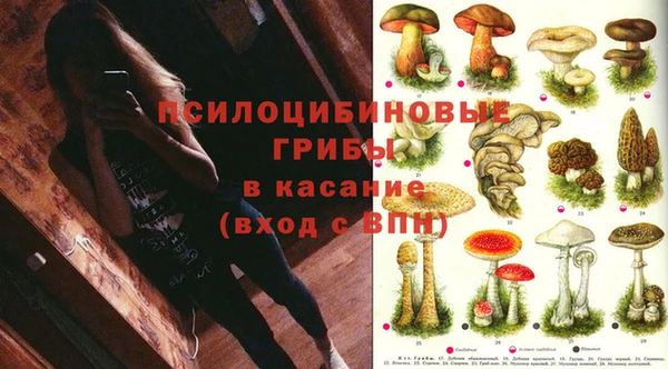 марки nbome Арсеньев